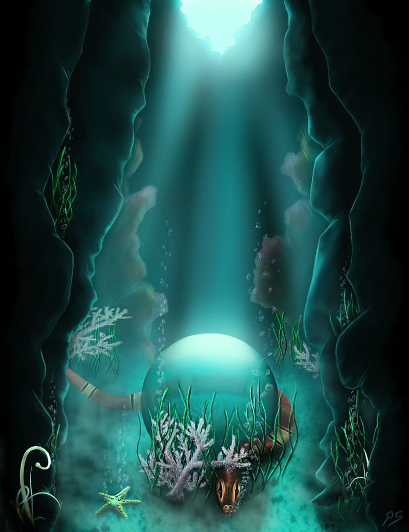 The Shadows That Dance with the Ocean’s Roar