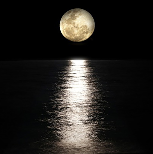 black-cat-moments-logo